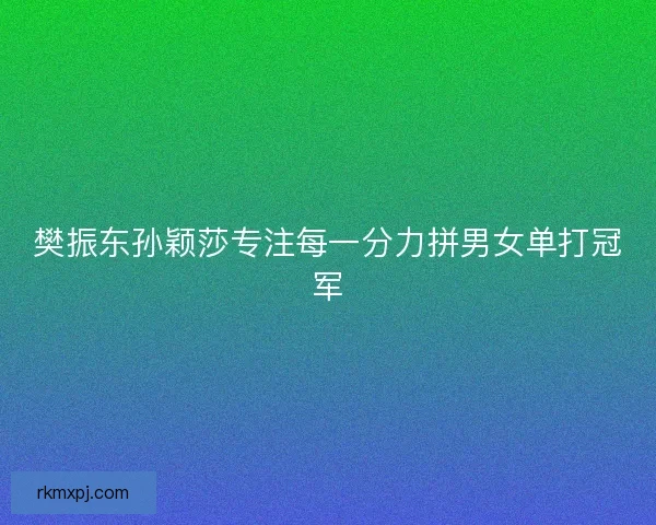 樊振东孙颖莎专注每一分力拼男女单打冠军